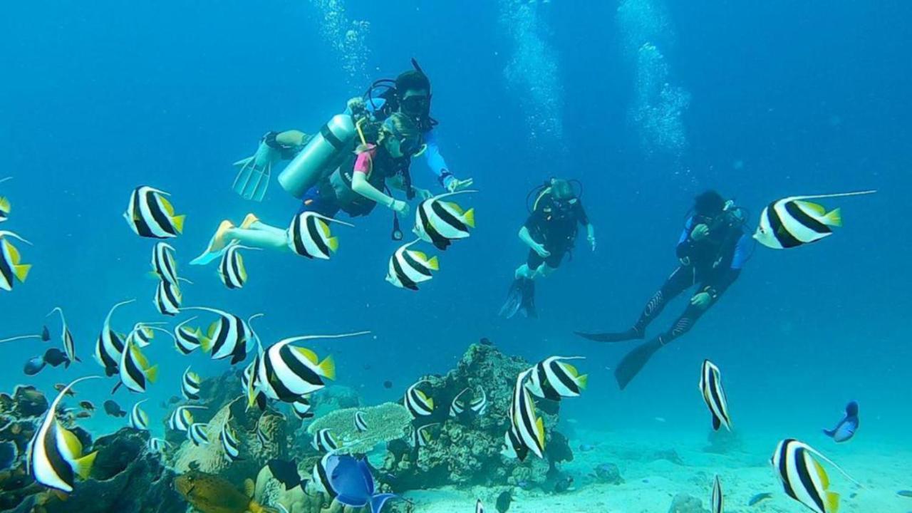 Sunia Loka Bungalows & Dive Center ペムテラン エクステリア 写真