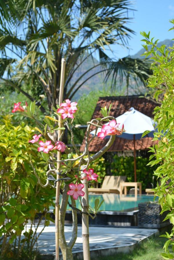 Sunia Loka Bungalows & Dive Center ペムテラン エクステリア 写真