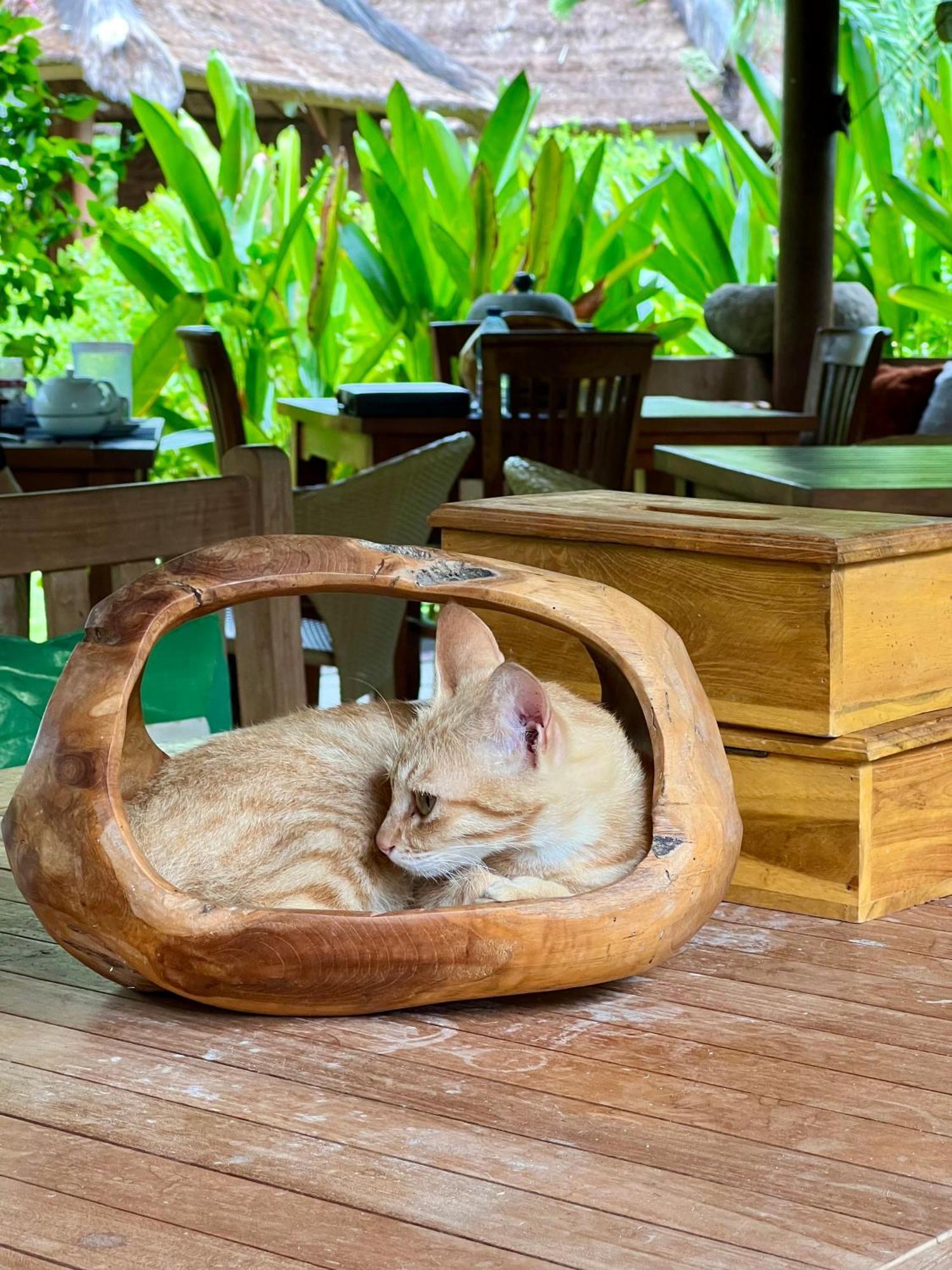 Sunia Loka Bungalows & Dive Center ペムテラン エクステリア 写真