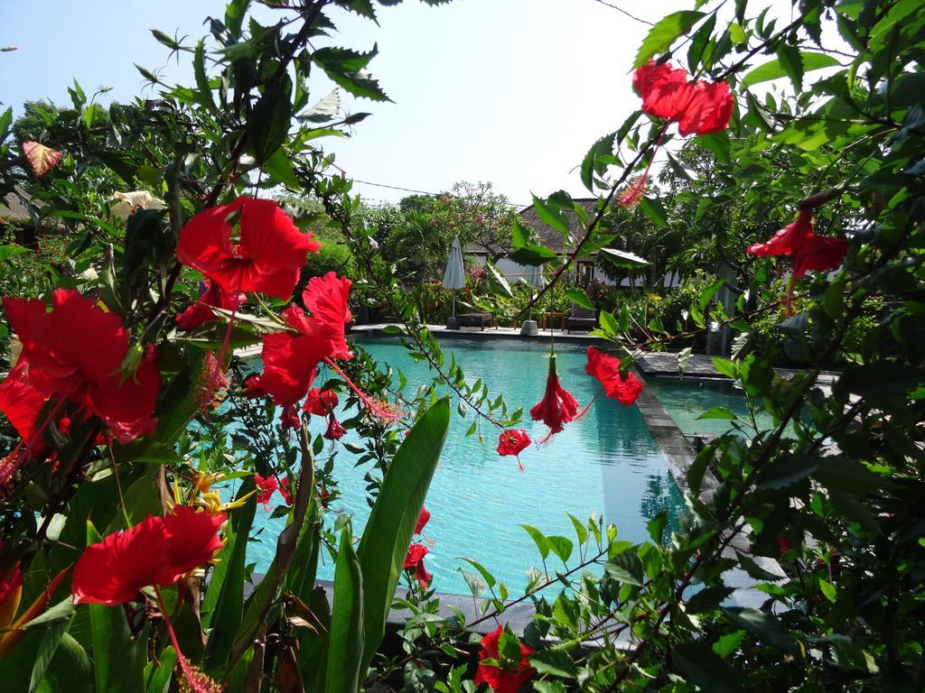 Sunia Loka Bungalows & Dive Center ペムテラン エクステリア 写真